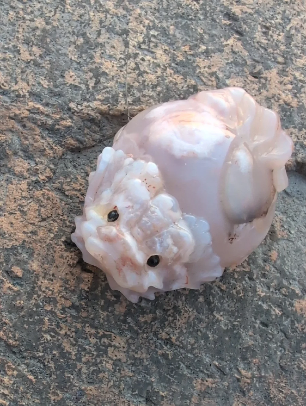 Turtle Dragon Baby Sakura Agate Cherry Blossom - Picture 4 of 4